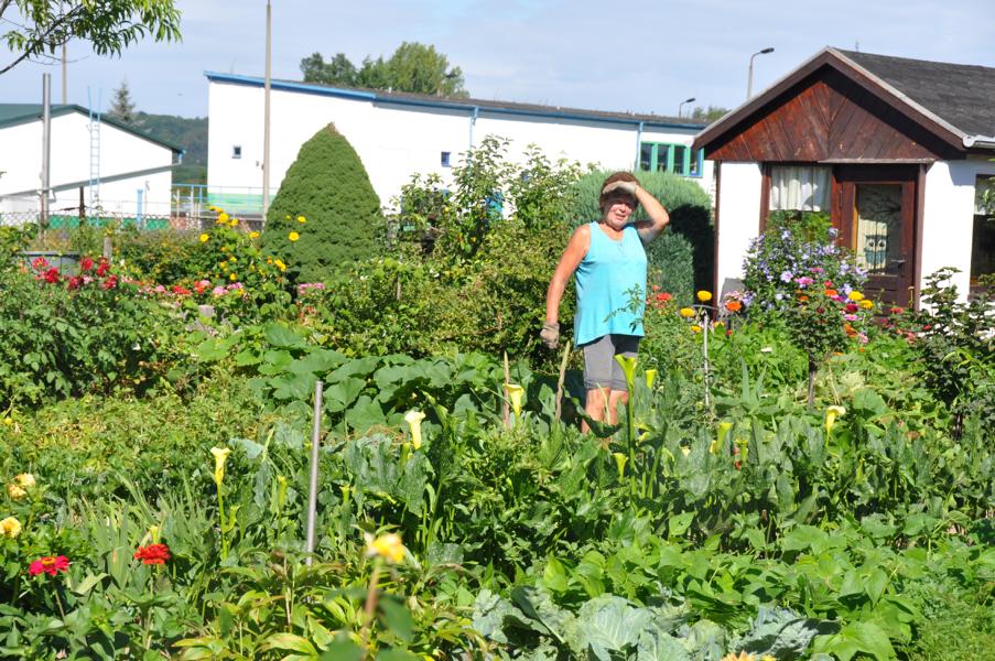 K800_20170805-Gartenanlage-100