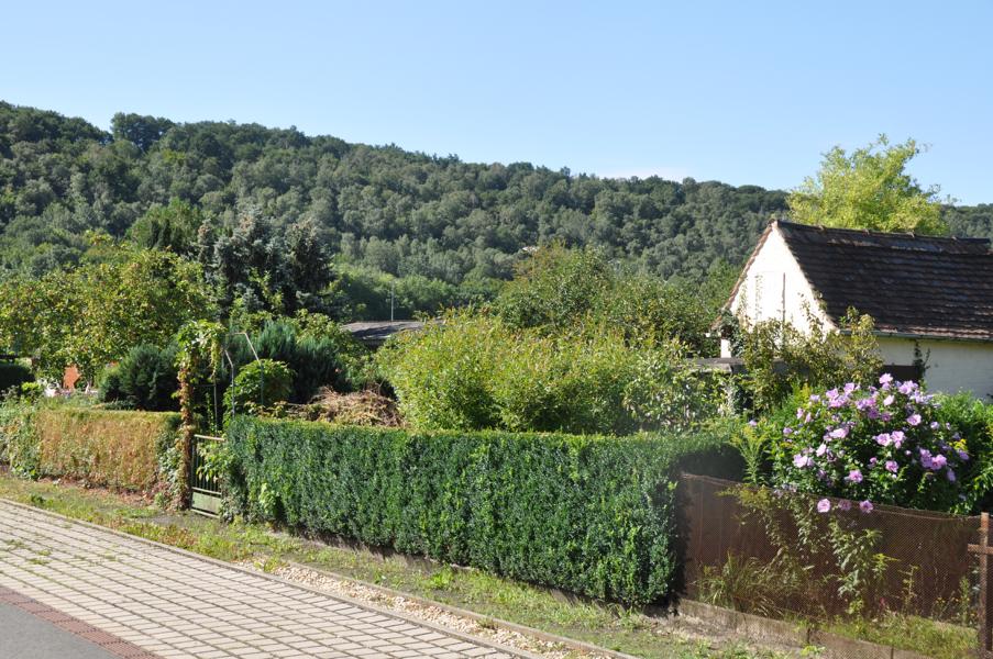 K800_20170805-Gartenanlage-114