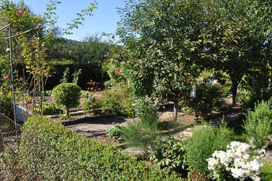 K800_20170805-Gartenanlage-15