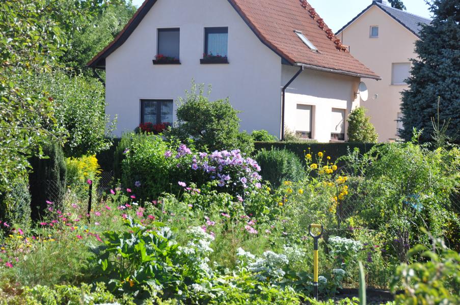 K800_20170805-Gartenanlage-32