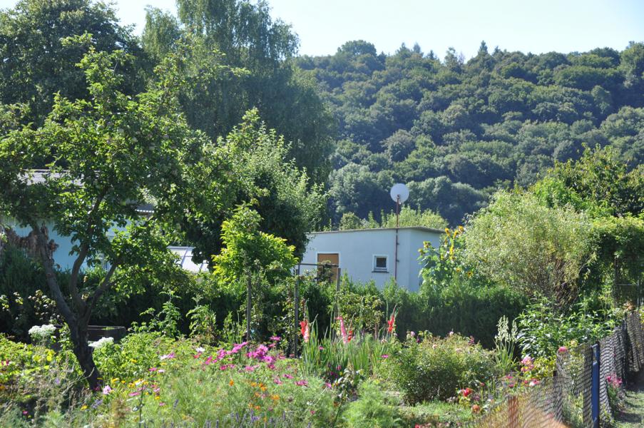 K800_20170805-Gartenanlage-43