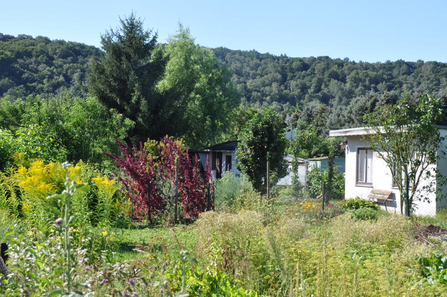 K800_20170805-Gartenanlage-44