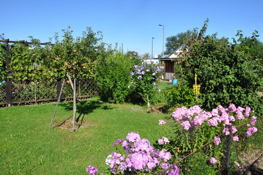 K800_20170805-Gartenanlage-45