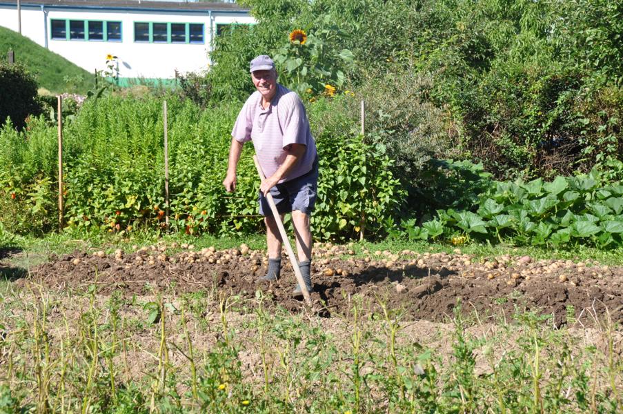 K800_20170805-Gartenanlage-57