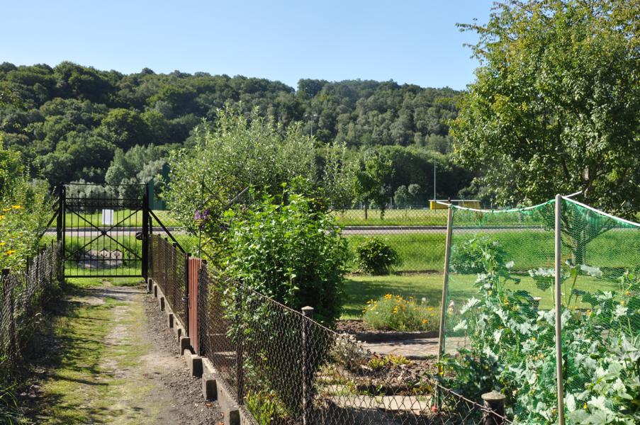 K800_20170805-Gartenanlage-82