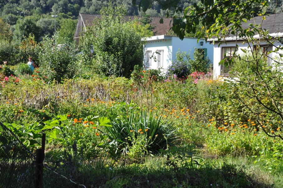 K800_20170805-Gartenanlage-9