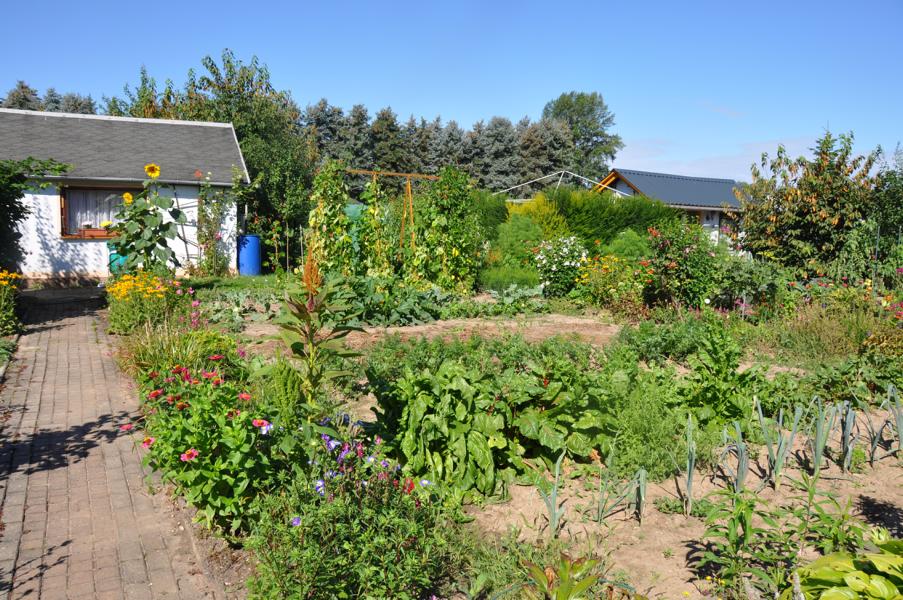 K800_20170805-Gartenanlage-90