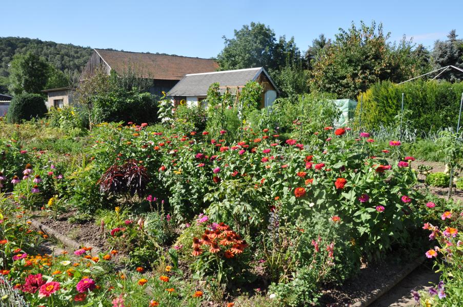 K800_20170805-Gartenanlage-95